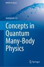 Giampaolo Co': Concepts in Quantum Many-Body Physics, Buch