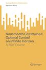 Vincenzo Basco: Nonsmooth Constrained Optimal Control on Infinite Horizon, Buch