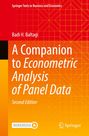 Buchcover in Orange und Rot, Titel "A Companion to Econometric Analysis of Panel Data", Autor Badi H. Baltagi.