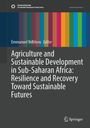 : Agriculture and Sustainable Development in Sub-Saharan Africa: Resilience and Recovery Toward Sustainable Futures, Buch