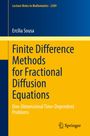 Ercília Sousa: Finite Difference Methods for Fractional Diffusion Equations, Buch