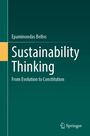 Epaminondas Bellos: Sustainability Thinking, Buch