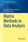 Maria Isabel Bueno Cachadina: Matrix Methods in Data Analysis, Buch