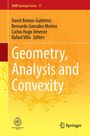 : Geometry, Analysis and Convexity, Buch