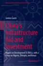 Janeen Guest: China's Infrastructure Aid and Investment, Buch