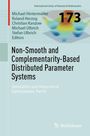 Non-Smooth and Complementarity-Based Distributed Parameter Systems, Buch