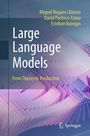 David Pacheco Aznar: Large Language Models, Buch