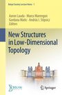 Text: "New Structures in Low-Dimensional Topology" von Aaron Lauda, Marco Marengon und anderen. Darunter eine bunte Illustration.