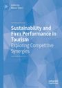 Text: "Sustainability and Firm Performance in Tourism: Exploring Competitive Synergies." Blaue geometrische Hintergrundmuster.