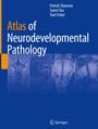 Cover eines Buches. Titel: "Atlas of Neurodevelopmental Pathology". Autoren: Patrick Shannon, Sumit Das, Yael Fisher.