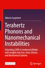 Text: "Alberto Carpinteri - Terahertz Phonons and Nanomechanical Instabilities". Illustration mit orange-rotem Hintergrund.