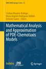 Mathematical Analysis and Approximation of PDE-Chemotaxis Models, Buch