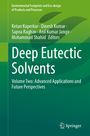 Titel: Deep Eutectic Solvents. Grüner Hintergrund mit stilisiertem Blatt. Springer-Logo unten.