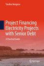 "Project Financing Electricity Projects with Senior Debt: A Practical Guide" von Yandisa Nongena. Sonnenuntergang über Feldern.