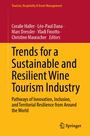 "Trends for a Sustainable and Resilient Wine Tourism Industry" in schwarzen Buchstaben auf gelbem Hintergrund. Springer-Logo unten.