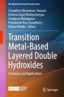 Titel: Transition Metal-Based Layered Double Hydroxides. Autoren: C. Mustansar Hussain et al. Unten Logos von MRS und Springer.