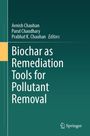 Text: "Avnish Chauhan, Parul Chaudhary, Prabhat K. Chauhan, Editors. Biochar as Remediation Tools for Pollutant Removal." Grüner Hintergrund mit Springer-Logo.