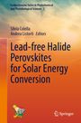 Lead-free Halide Perovskites for Solar Energy Conversion, Buch