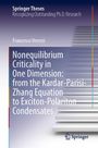 Francesco Vercesi: Nonequilibrium Criticality in One Dimension: From the Kardar-Parisi-Zhang Equation to Exciton-Polariton Condensates, Buch