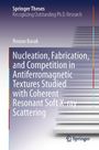 Titel: "Nucleation, Fabrication, and Competition in Antiferromagnetic Textures Studied with Coherent Resonant Soft X-ray Scattering". Abstrakte Treppen.