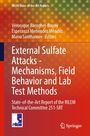 Titel: "External Sulfate Attacks - Mechanisms, Field Behavior and Lab Test Methods". Farbverlauf in Orange und Rot.