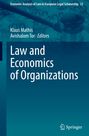 "Law and Economics of Organizations", Klaus Mathis, Avishalom Tor (Editors). Ein blauer Hintergrund mit Richterhammer.