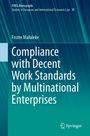 Foster Maluleke: Compliance with Decent Work Standards by Multinational Enterprises, Buch