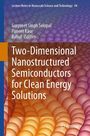 „Two-Dimensional Nanostructured Semiconductors for Clean Energy Solutions“, Editors: Gurpreet Singh Selopal, Puneet Kaur, Rahul. Untergrund: Farbige, schuppenartige Muster.
