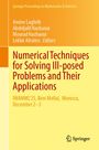 Numerical Techniques for Solving Ill-posed Problems and Their Applications, Buch