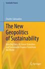 Text: "Sustainable Finance", "Charles Salvaudon", "The New Geopolitics of Sustainability". Design in Blau und Gelb. Springer-Logo.