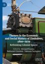 Themes in the Economic and Social History of Zimbabwe, 1890-1979, Buch