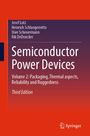 Titel: Semiconductor Power Devices. Autoren: Josef Lutz, Heinrich Schlangenotto. Logo: Springer. Rotes und lila Design.