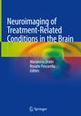 Titel: "Neuroimaging of Treatment-Related Conditions in the Brain". Autoren: Marialuisa Zedde, Rosario Pascarella. Buntes, abstraktes Muster.