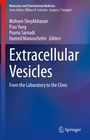 Titel: "Extracellular Vesicles: From the Laboratory to the Clinic." Autoren: Mohsen Sheykhhasan, Piao Yang. Farbschema: Blau und Lila. Springerverlag.