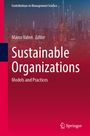 „Sustainable Organizations: Models and Practices“, Herausgeber Marco Valeri. Stadtansicht mit leuchtenden Linien. Springer-Logo.