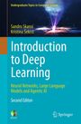 Kristina Sekrst: Introduction to Deep Learning, Buch