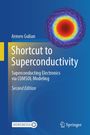 Armen Gulian: Shortcut to Superconductivity, Buch