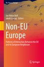 Buchtitel: Non-EU Europe. Autoren: Jan Niklas Rolf, Jakob Lempp. Hintergrund: EU-Fahne, Logo: Springer.