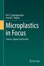 "Microplastics in Focus: Science, Impact and Action" von Rey Y. Capangpangan und Arnold C. Alguno. Springer-Logo unten.