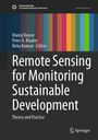 Auf schwarzem Hintergrund steht „Remote Sensing for Monitoring Sustainable Development“, bunte vertikale Streifen.