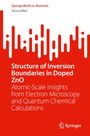 Vesna Ribic: Structure of Inversion Boundaries in Doped ZnO, Buch