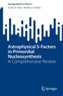 Titel: Astrophysical S-Factors in Primordial Nucleosynthesis. Autoren: Carlos A. Salas, Neelima G. Kelkar. Abstrakte blau-weiße Grafik.