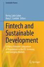 Fintech and Sustainable Development, Buch