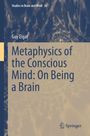 Guy Elgat: Metaphysics of the Conscious Mind: On Being a Brain, Buch