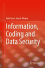 Titel: Information, Coding and Data Security. Autor: Julio Cesar Garcia-Alvarez. Roter Hintergrund mit Springer-Logo.