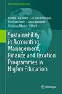 Text: "Sustainability in Accounting, Management, Finance and Taxation Programmes in Higher Education". Grüne Weltkarte, Springer-Logo.