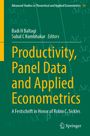 Titel: Productivity, Panel Data and Applied Econometrics. Grün mit mathematischen Formeln. Springer-Logo unten rechts.