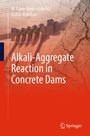 „Alkali-Aggregate Reaction in Concrete Dams“, Autoren: M. Amin Hariri-Ardebili, Golsa Mahdavi. Gebäudeansicht mit Rissen.