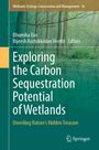 Exploring the Carbon Sequestration Potential of Wetlands, Buch