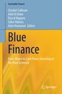Blue Finance, Buch